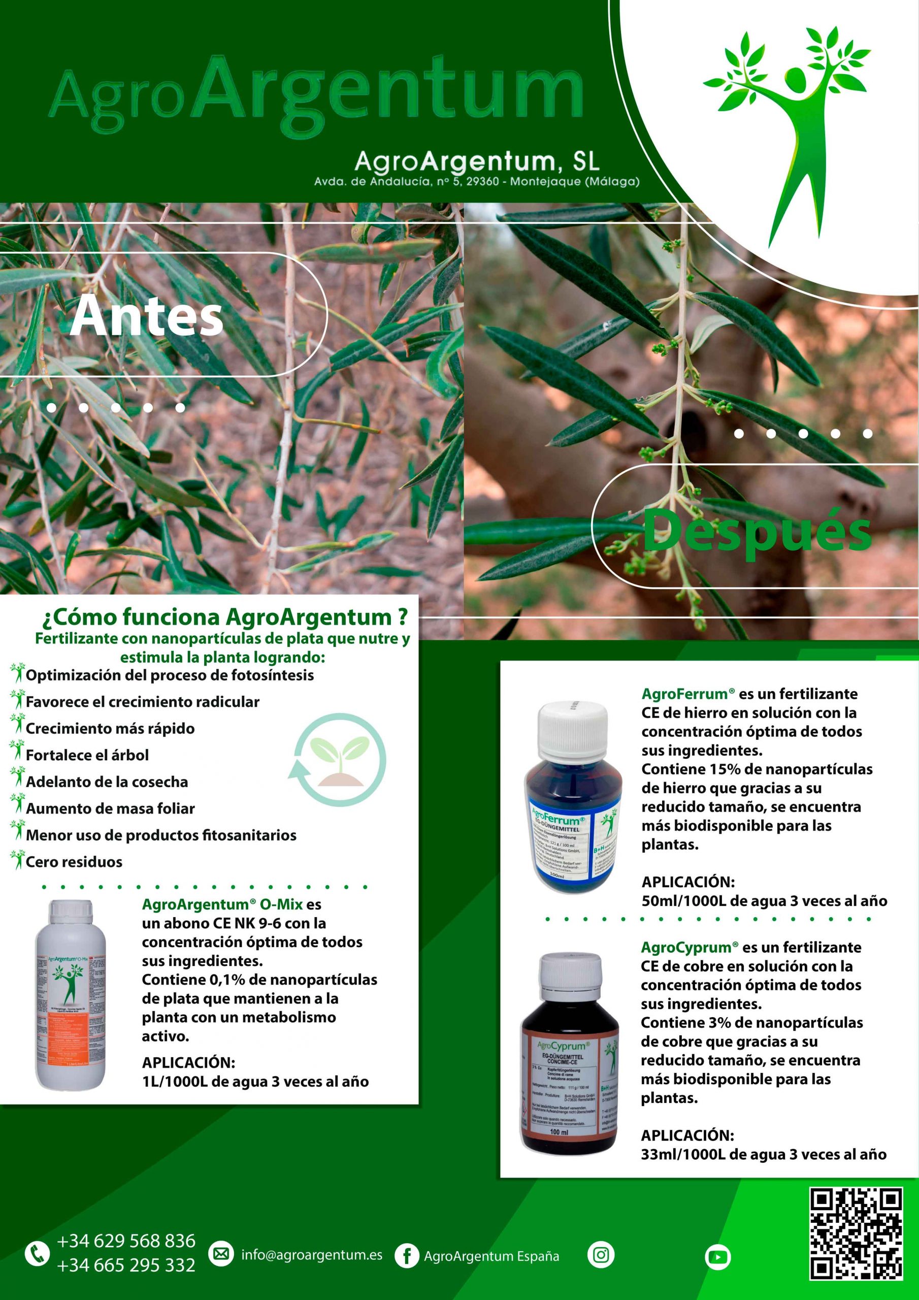 Flyer-olivos-2-scaled