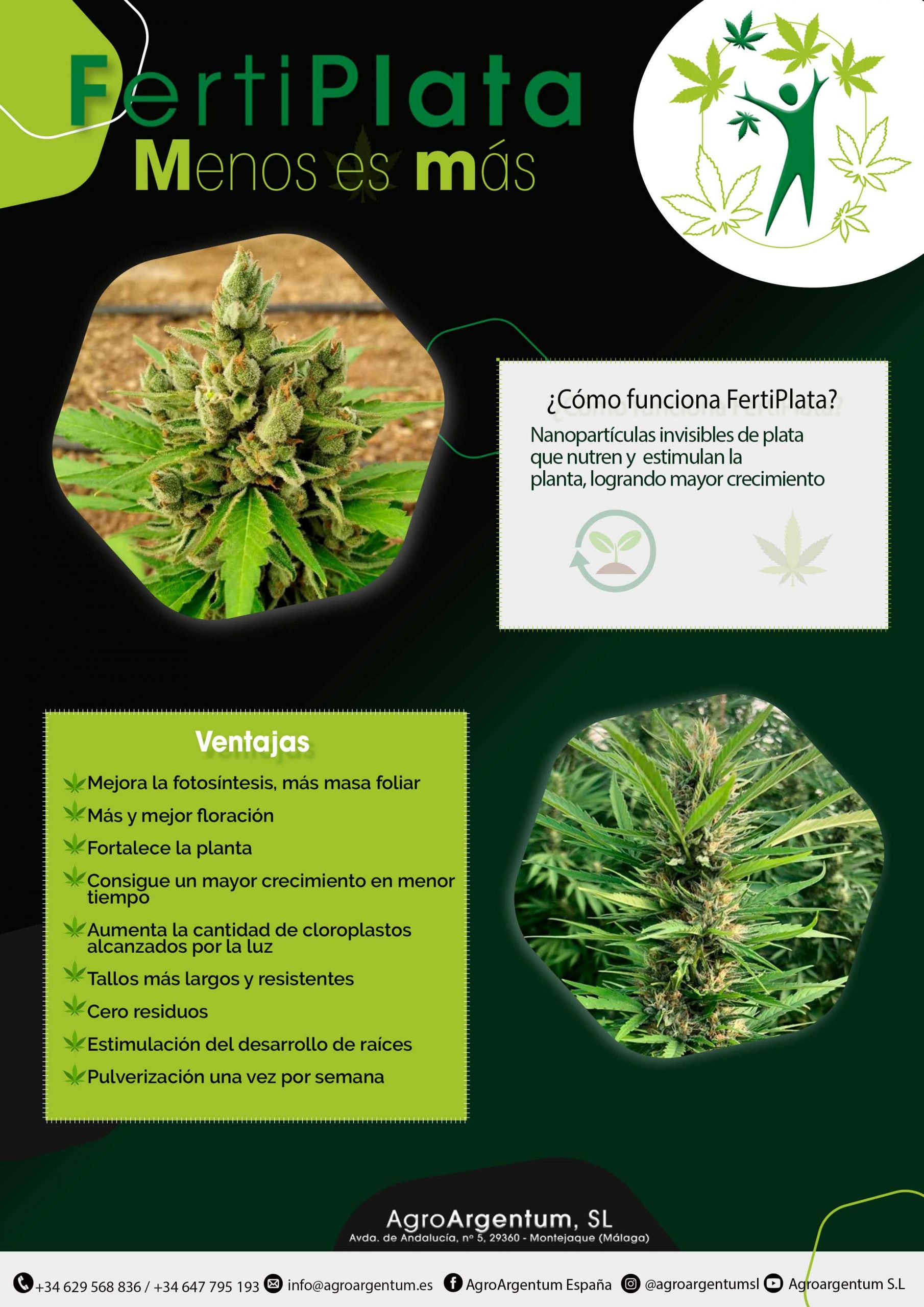 Plantilla-Flyer-Maria-POSTERIOR-scaled